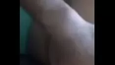 Reproducir Anteel egipcio luz 01015470512