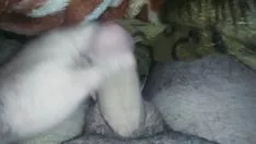 चलाएँ एक सुखद गमशो
