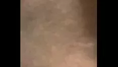 চালান শীশ উউনি