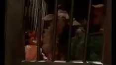 播放 被称为价值的布偶被放下