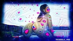 চালান এআই এনএসএফডব্লিউ - সাইকোট্রপিক সেলিয়েন্টিয়া দ্বারা ডিসইনভেস্টেস