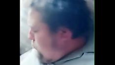 Reproduzir Tão selvagem
