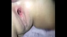 Putar Wander melihat bagaimana dia meninggalkan sayap kucing betinanya yang sudah menikah menyebar