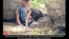 Redare Hobo camp sex (2022) neevaluat xcablu tramwayood hindi scurt-circuit ia