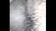 চালান পরে রাজনৈতিক দল ড