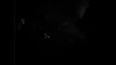 播放 Ia qperezselena 猛犸象