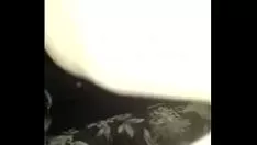Reproduzir Missy, você disse isso para brincar no céu e no mundo da árvore de óleo de tungue rosa