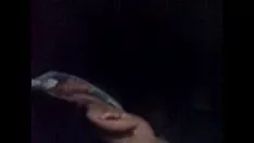 চালান Waltraud আমাকে ধাক্কা দেয় এবং আমি টিকিট শুট করি