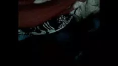 চালান 5 লীলা টিউব আঁকা সেসিল