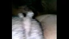 चलाएँ लिसा गीला किटी-बिल्ली