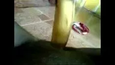 Riproduci Femminilità con un albero di banane