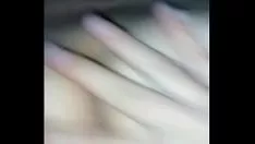 চালান আমার xana পিকিং পিকা
