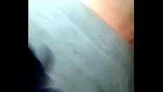 Putar Mflairy teibol el tappatio cuernavaca