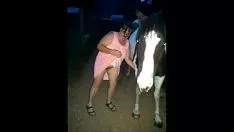 चलाएँ मैं अपने चैंपियन की बड़ी किटी-कैट बिछाता हूं