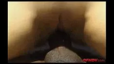 Redare Blackcock dependent 445