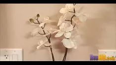 تشغيل العجن الساخن 0067