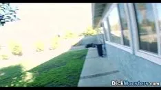 Oynat Blackcock adananı 01