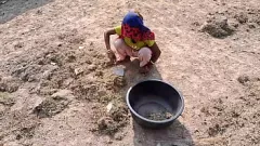 Riproduci La fantasia all'aperto della moglie Desi: la realtà hardcore di una coppia sexy